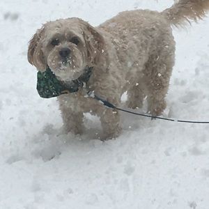 Meet your Posher, Carolyn